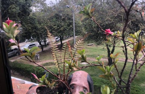 «VENDEMOS HERMOSO APARTAMENTO EN EL BATAN»